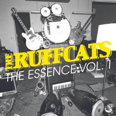 The Ruffcats - Turtles