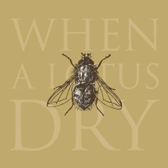 When A Lotus Dry - I, The Alibi