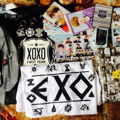 EXO dubstep intro 2013