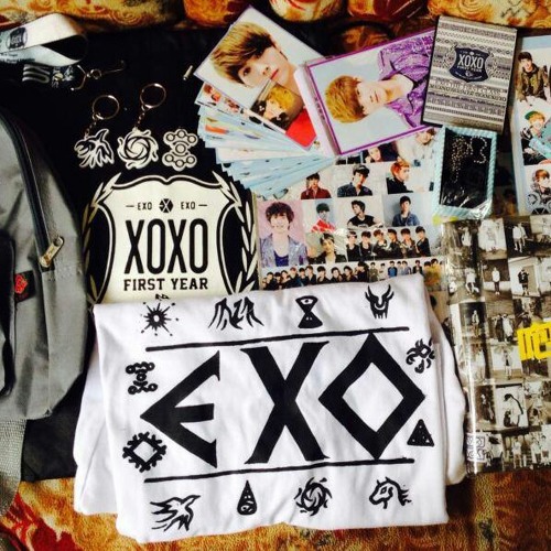 EXO dubstep intro 2013