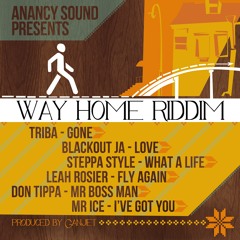 Steppa Style - What A Life (Way Home Riddim)