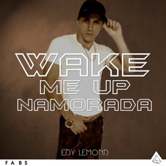 Edy Lemond x Avicii - Wake Me Up Namorada (Fabs Mashup)