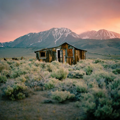 Log Cabin