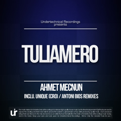 Ahmet Mecnun - Tuliamero (Inclu. Unique (CRO) & Antoni Bios Remixes)