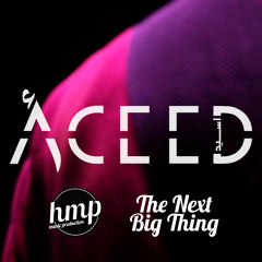 Areeb  - ACEED / THE NEXT BIG THING - LIVE RECORDING