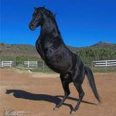 Katy Perry ft. Juicy J - Dark Horse (Boz H∆US Remix)