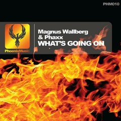 What's Going On (Original Mix)