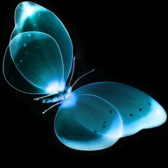 project DUBSTEP 99 (clip)