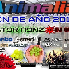 Distortionz Live @ Animalia, New Years Eve (Fin De Año) 2013 - Cadiz, Spain