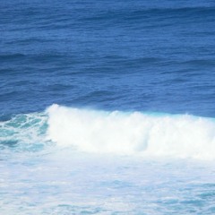 Call of the Healing Ocean