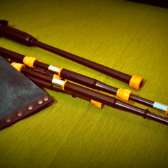 Miss Tricia Heise, Bob's Machine