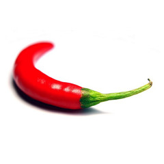 DR2 Bears Kick Cluck Yeah