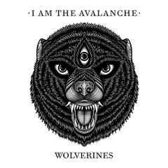 I Am the Avalanche - The Shape I'm In