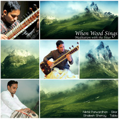 When Wood Sings - Instrumental Sitar and Tabla Album Preview