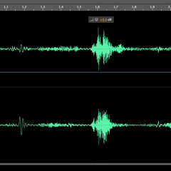 I Love You from Sacred Heart College Evp October 2014.