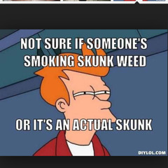 Lokii Legion~Skunk butt~(Future,Freestyle)