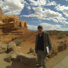 Wildflower 1970s Version