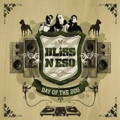 Get your boof on - Bliss N Eso (The RaiderZ Bootleg) [FREE DOWNLOAD]