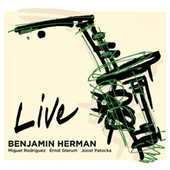 Benjamin Herman - Would I Love You, Love You, Love You