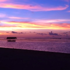 Try (Acoustic Cover)