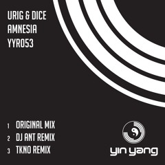 YYR053 : Urig & Dice - Amnesia (Original Mix)