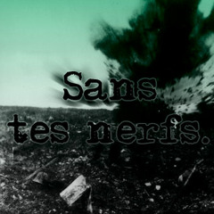 Sans tes nerfs