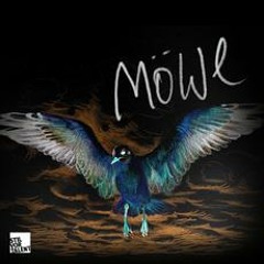 2 Remixes by Ryan Dupree for "Möwe - Inside" Release: 17.01.2014
