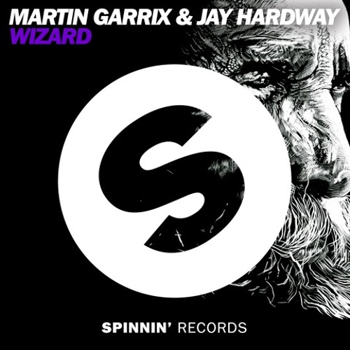 Martin Garrix & Jay Hardway - Wizard (Live at Amsterdam Festival)