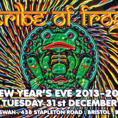 DJ Pod - Recorded at Tribe of Frog NYE 2013-2014