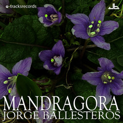 Mandragora Goth Mix