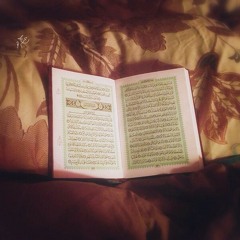 شفاء لروحي _ محمد العمري