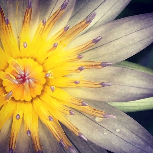 20120219 (Rough Mix)