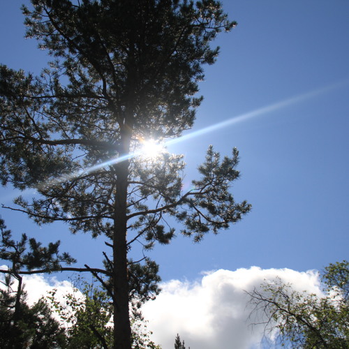 Opozit -Gegeen Tsagaan Ugluu
