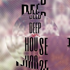 DeepHouseMix