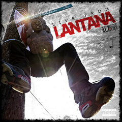 Easy Lantana - I ANT LYING