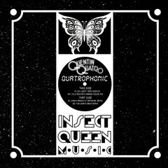 Quentin Quatro-Quatrophonic EP Preview
