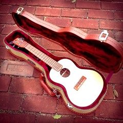 Hinkle Ukulele Jingle