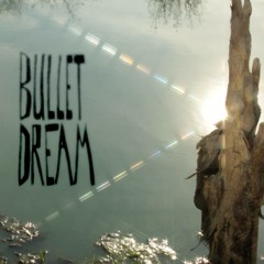 "Robbers of the Underwater Pearls" (for Bullet Dream)