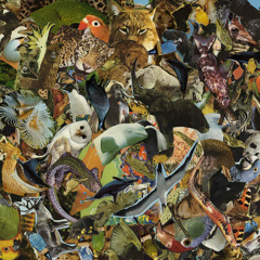 from TAIKURI TALI  LP - Borjomi High - on Ikuisuus