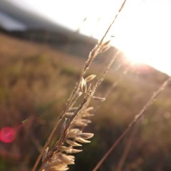 All Things All At Once (Tired Pony cover)