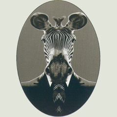 Agression Auditive - Peak Meter