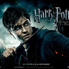 Harry Potter In 99 Seconds on guitar(PAINT Cover)