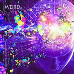 Miss Butterfly - Weird.