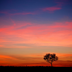 Trippy Waves - Lost In The Skies