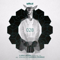 Moan Ilario Liburni - Abapical (Lauhaus Remix) Soundcloud EDIT