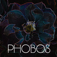 Phobos III