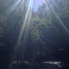 Its Ok (Pearl Jam cover)