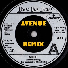 Tears for Fears - Shout (Avenue Remix)