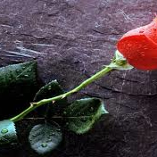 Tu recuerdo - Rome ft. Nanoese