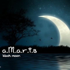 Not Gonna Get Us (t.a.t.u cover)